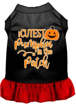 Cutest Pumpkin In The Patch Screen Print Dog Dress Black With Red Sm